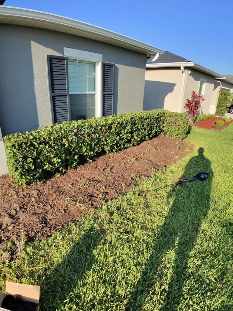 Tired landscape bed before fresh mulch