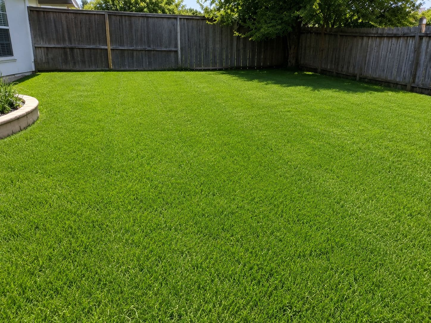 Clean, manicured front lawn after Flightline service